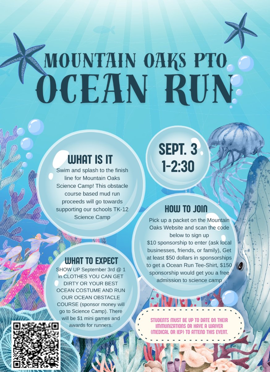 Ocean Run flyer